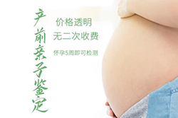 怀孕几个月如何鉴定宝宝是谁的[大连]，孕期亲子鉴定结果准确吗